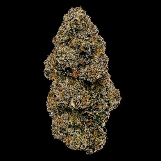 Bernie Hana Butter (I/H)