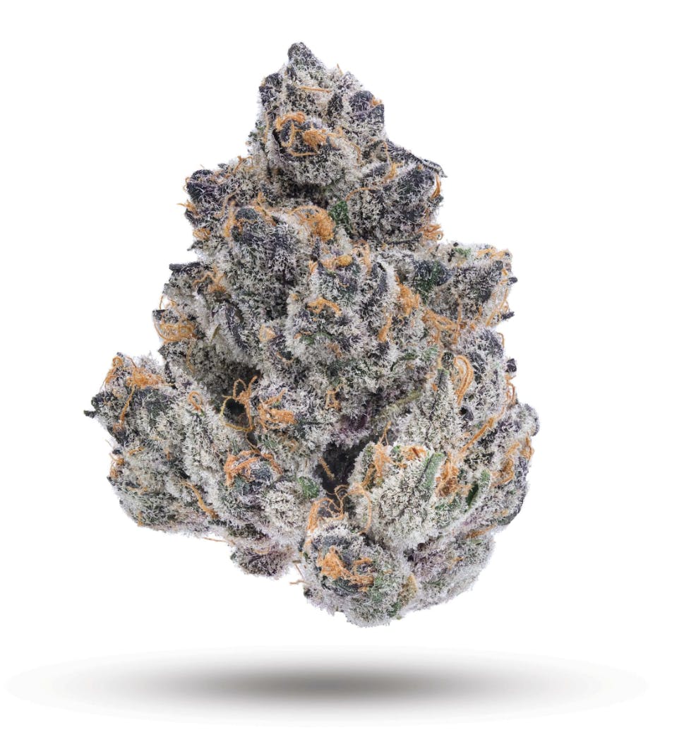 Trixx 1/2 Oz by MVP