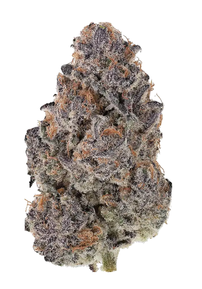 Juicy Fruit 1/2 Oz by MVP