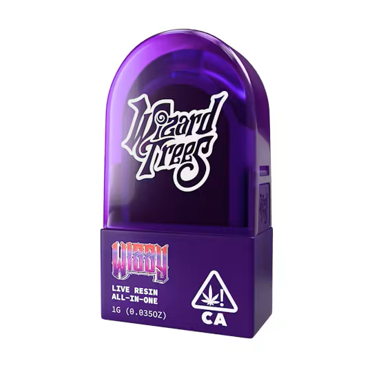 Wizzy Disposable AIO by Wizard Trees