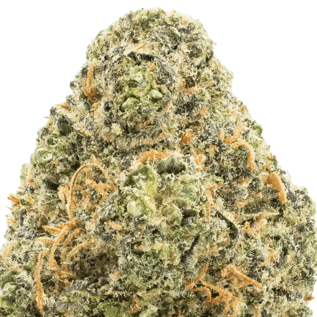 Baby Yoda 1/2 Oz by MVP