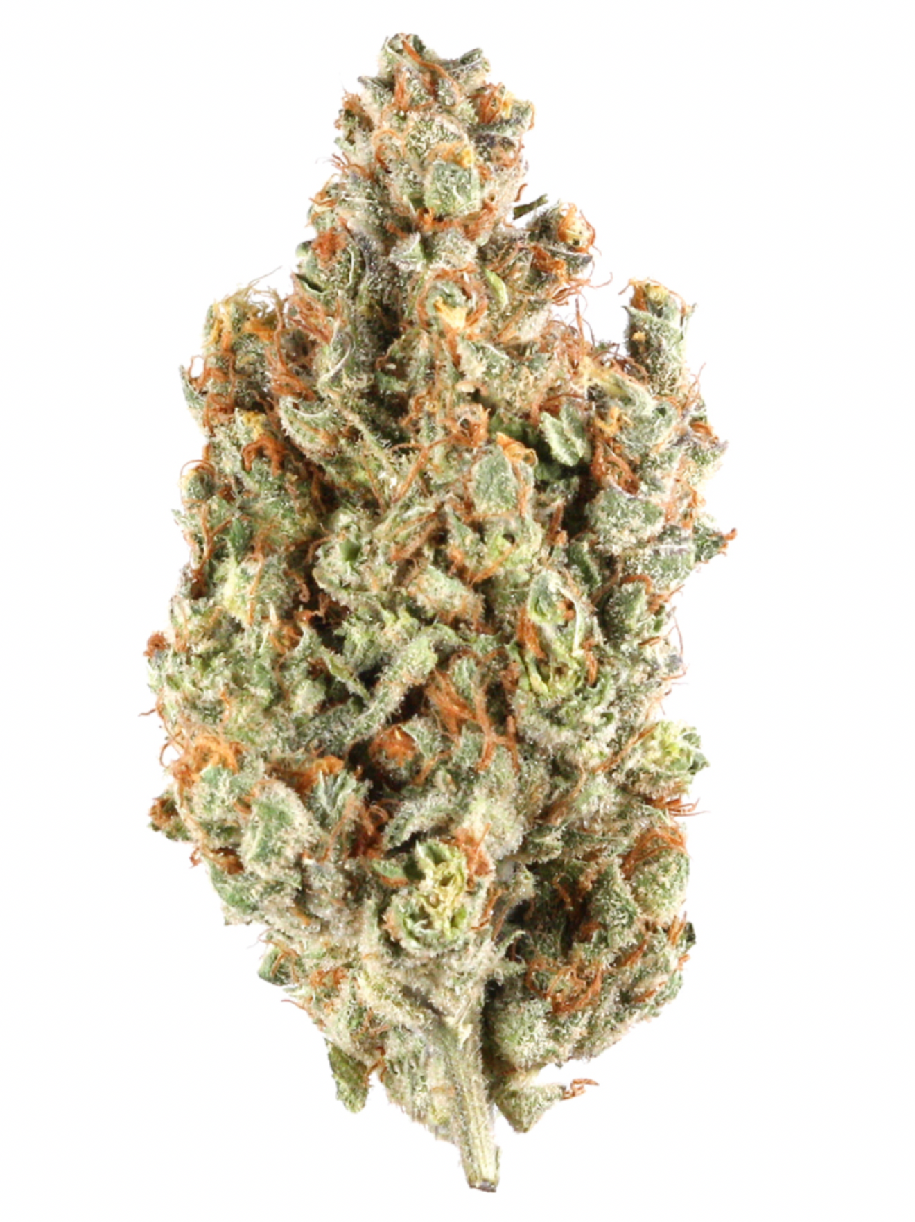 CNSR 22 Lemonz 7g Jar (H)