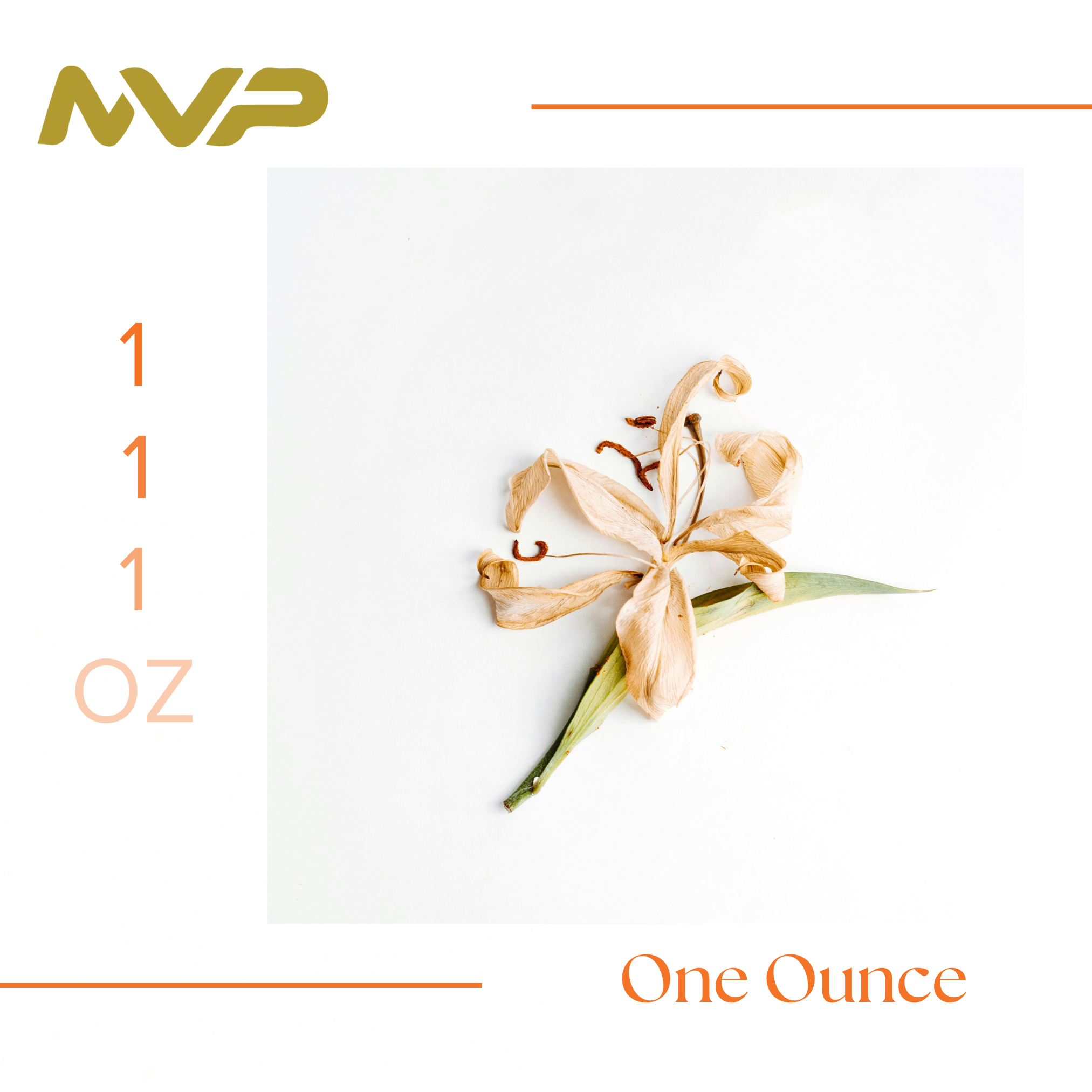 Gary Payton by Huet's Takeout (I/H)