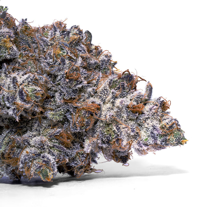 CNSR Sherbanger #22 7g Jar (H)