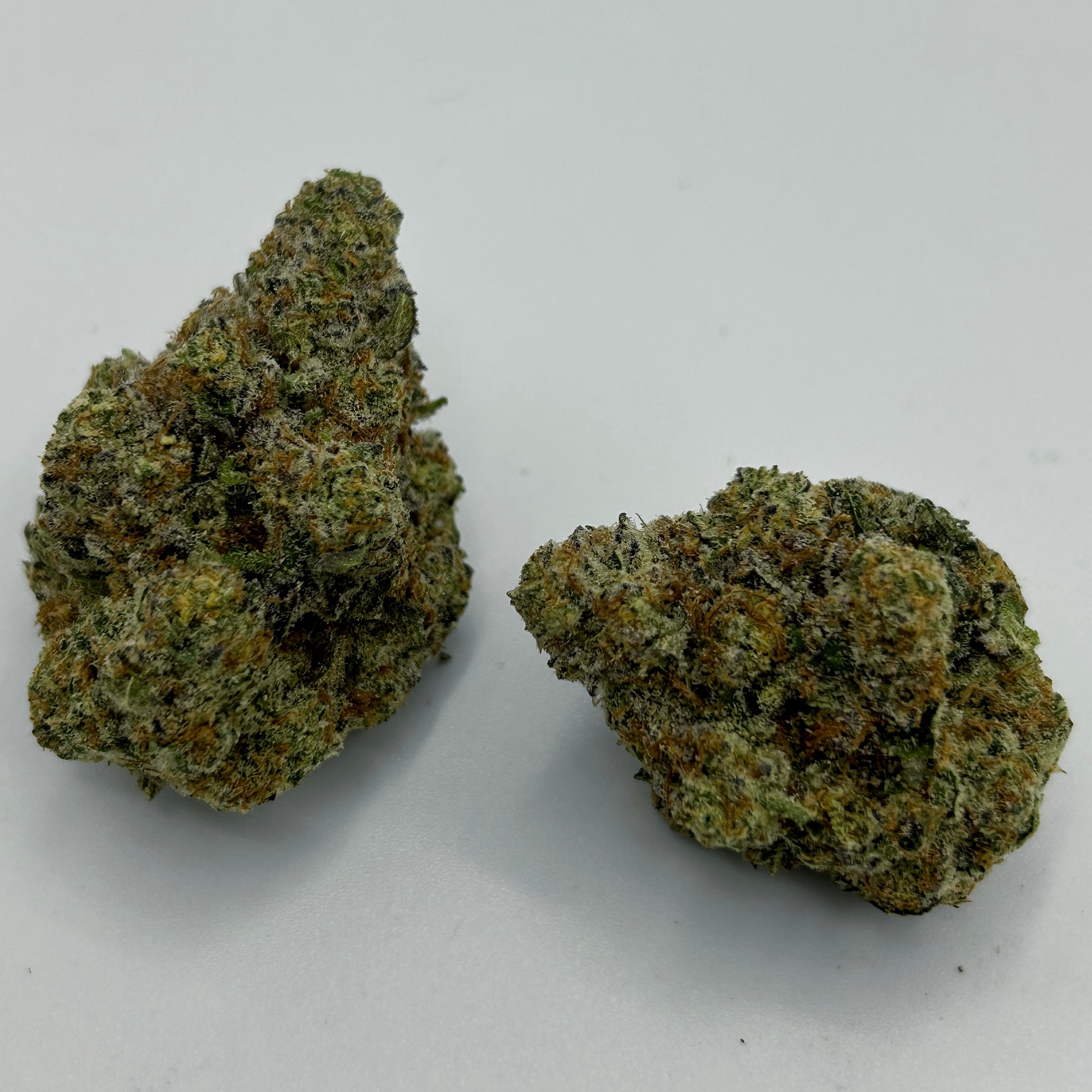 Lime Sickle by Peak Exotics