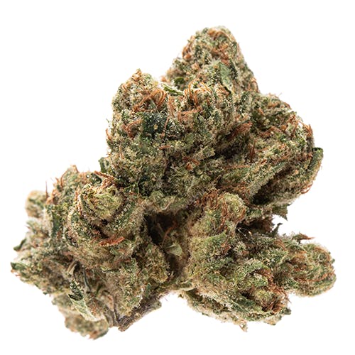 Kushface (H)
