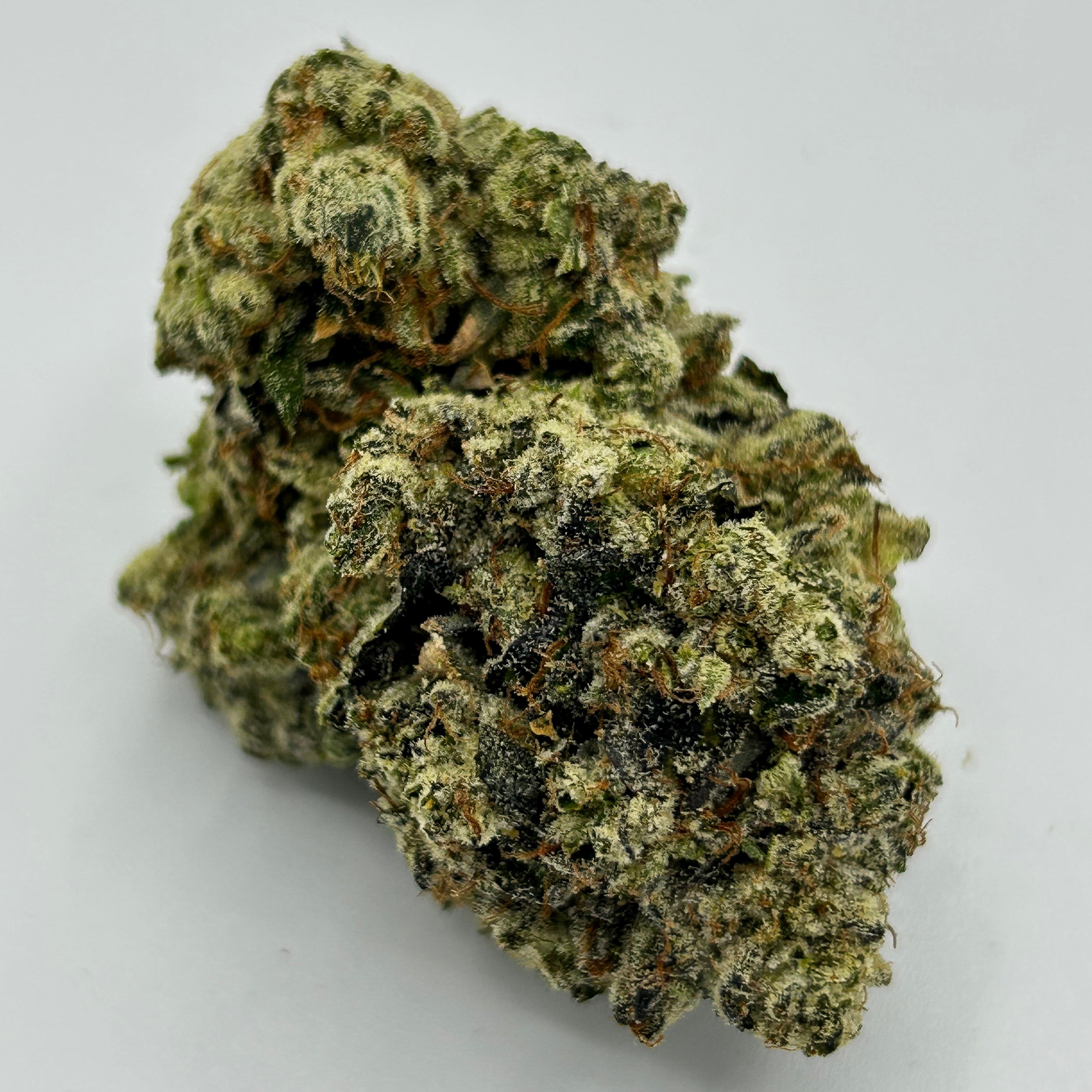 The Green Jacket by Greens Crew