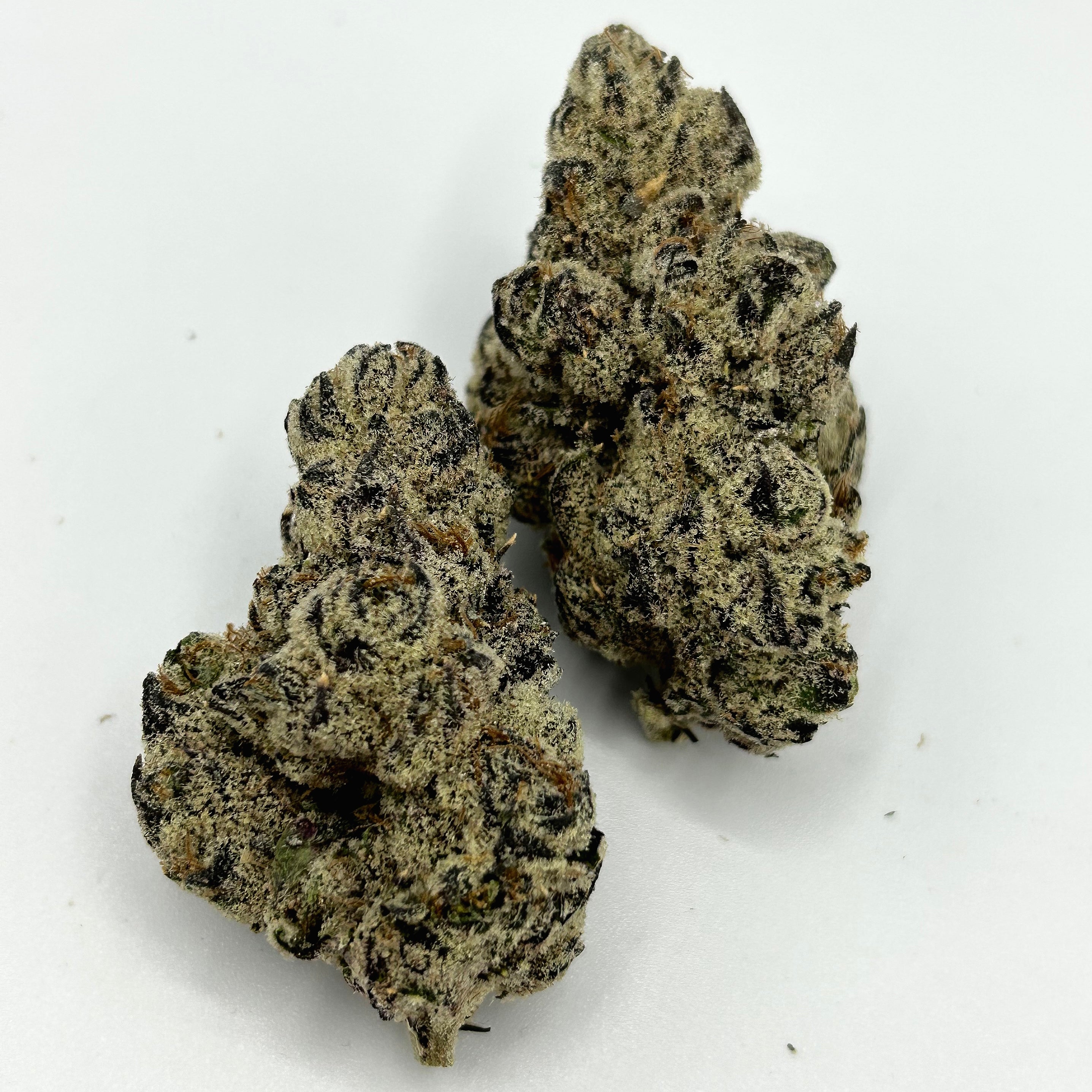 Delayed Frost by Greens Crew