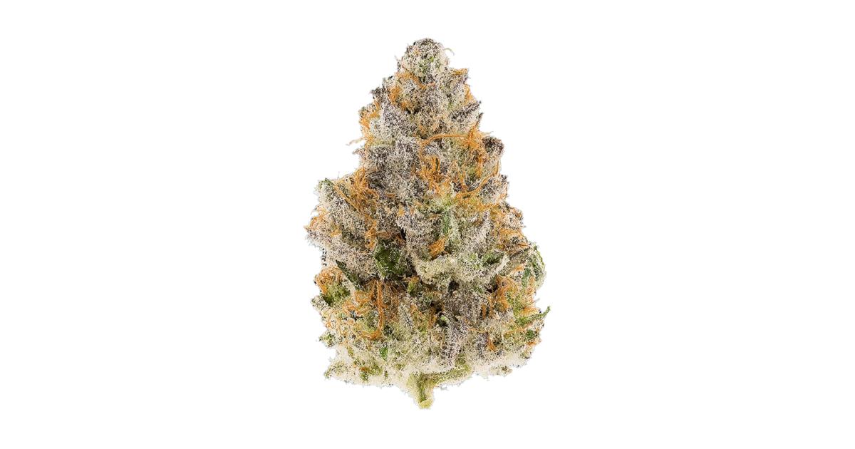 Cal Ripken Terphawgs Genetics 4g Jar (H)