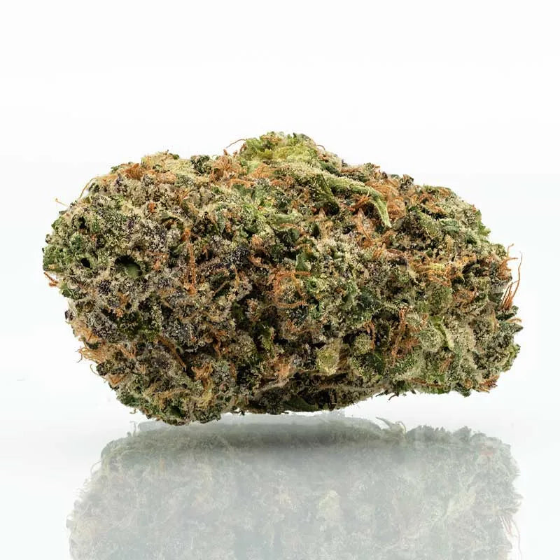 Razzberry Mochi 4g Jar (H)