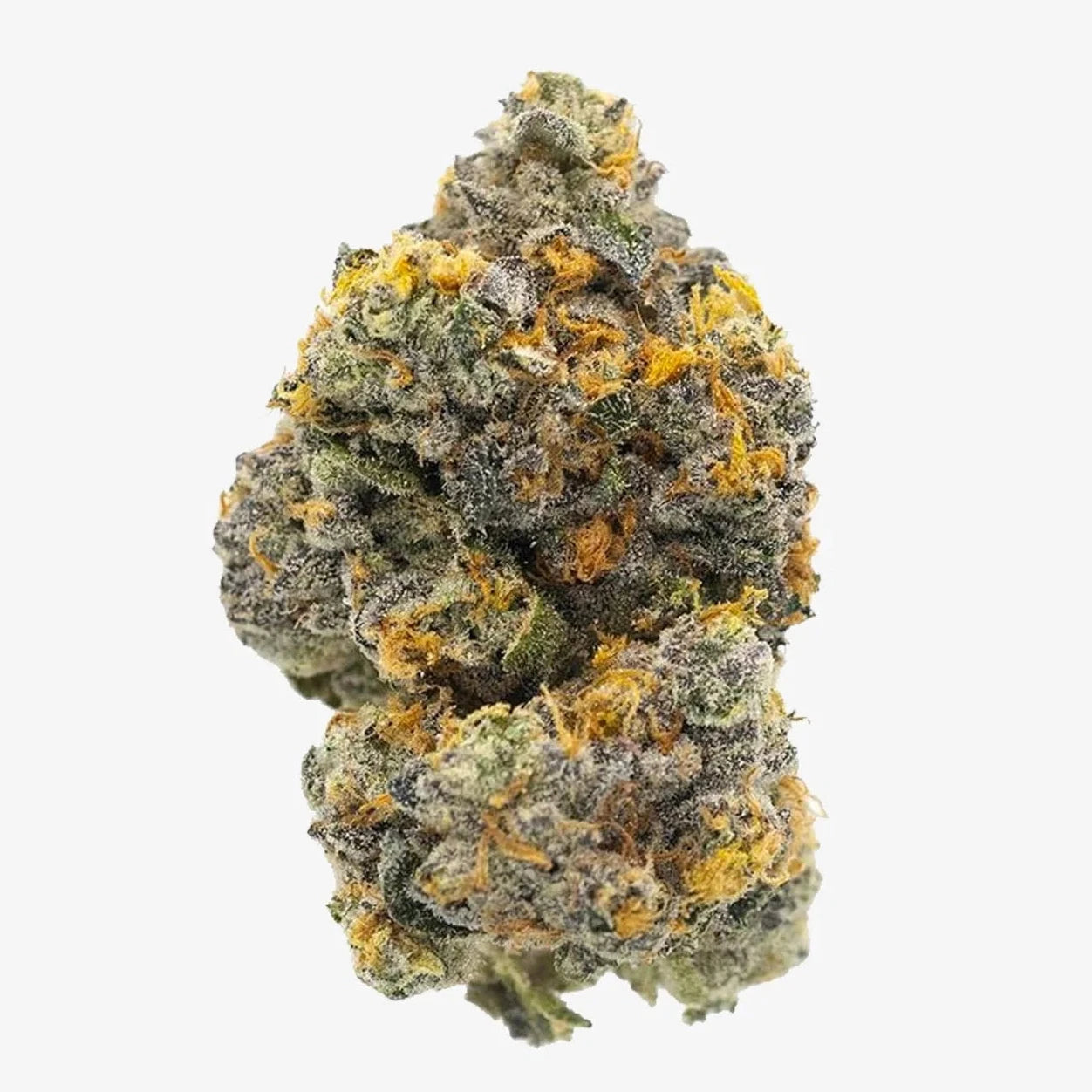 Gary Payton by Huet's Takeout (I/H)