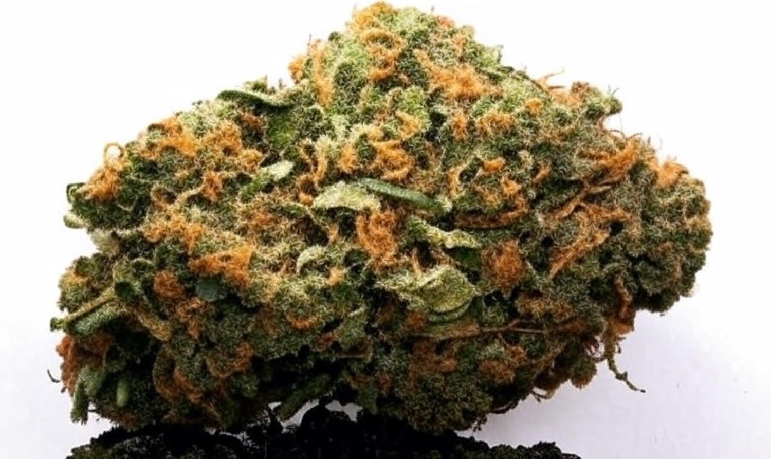 Original Zkittlez by Peak Exotics