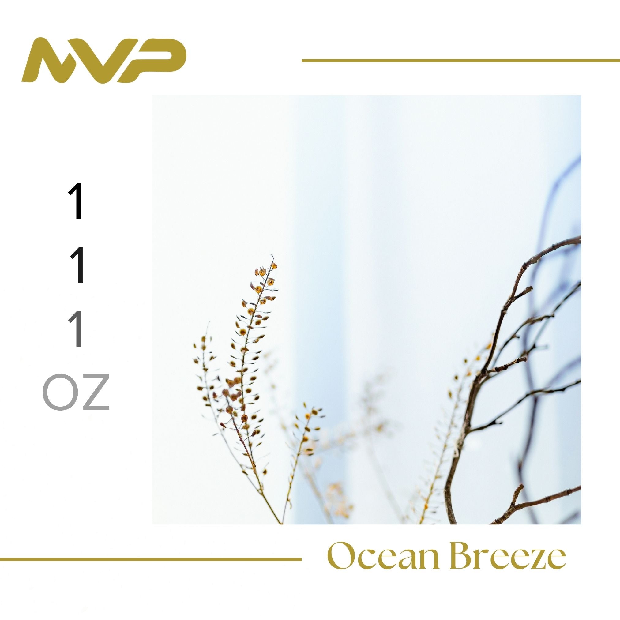 Ocean Breeze by SF Canna (I/H)