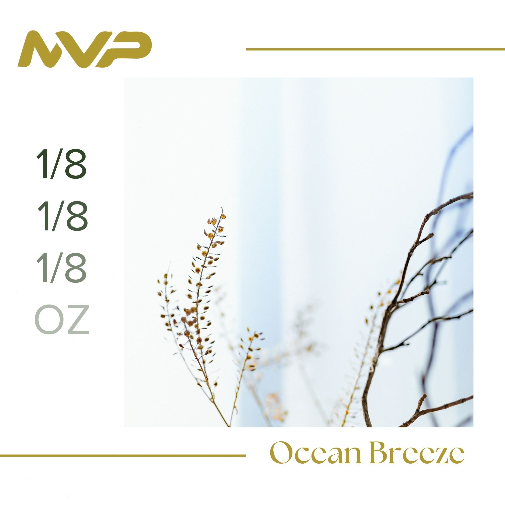 Ocean Breeze by SF Canna (I/H)