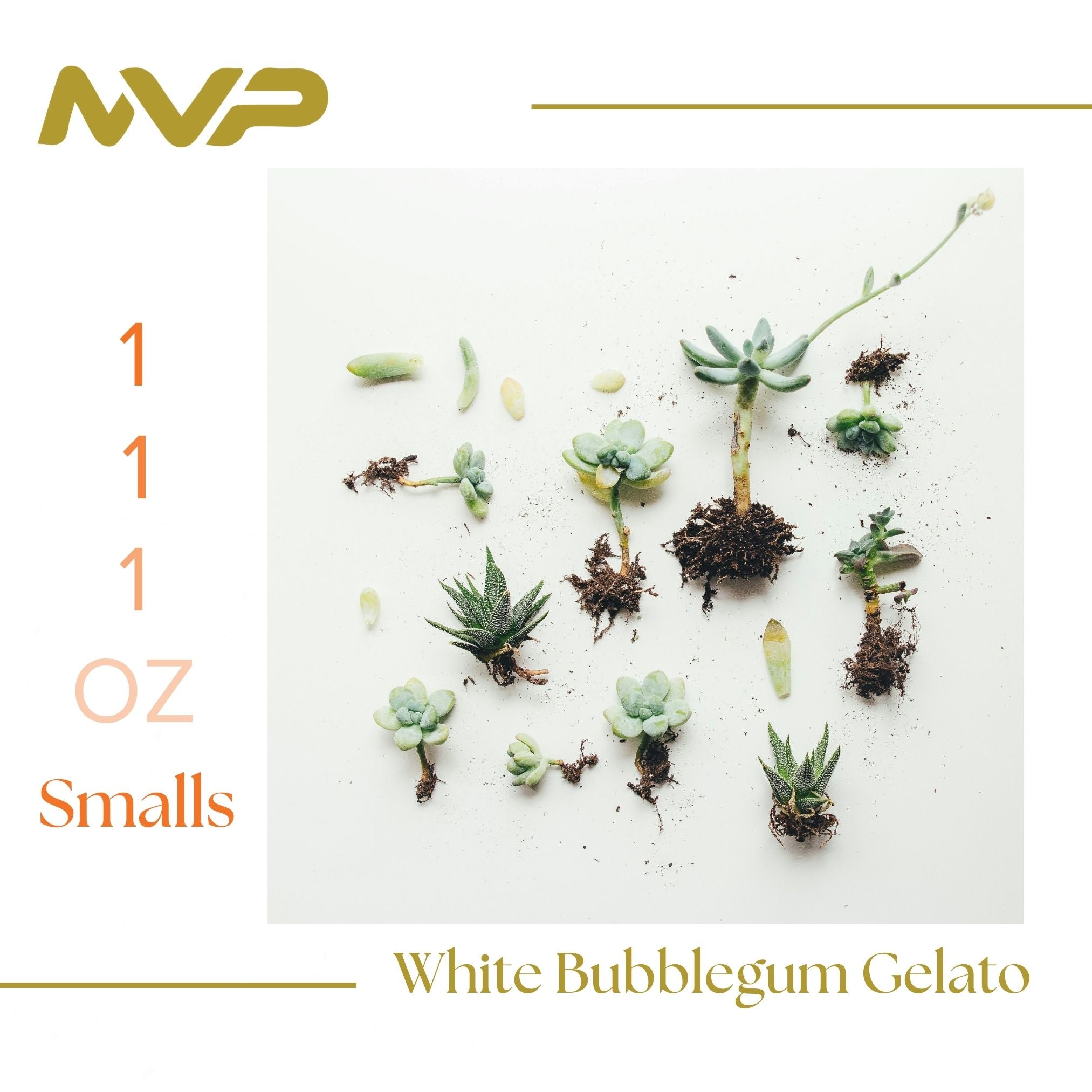 White Bubblegum Gelato Smalls (I/H)