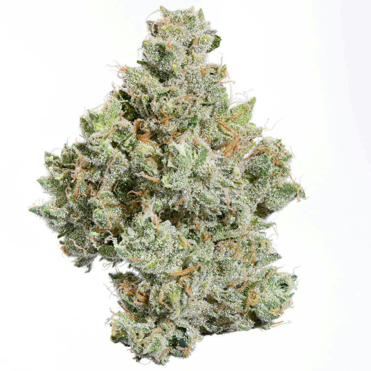 Zowah 1/2 Oz by MVP