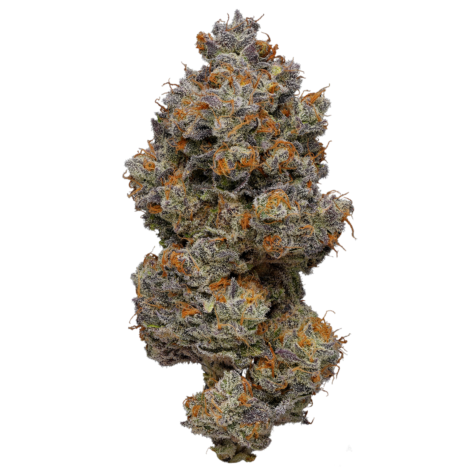 Limonez by Kato Cannabis 7g Jar (H)