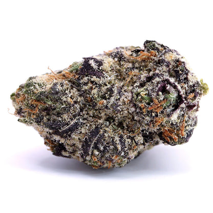 Lemon Cherry Cook (I/H)