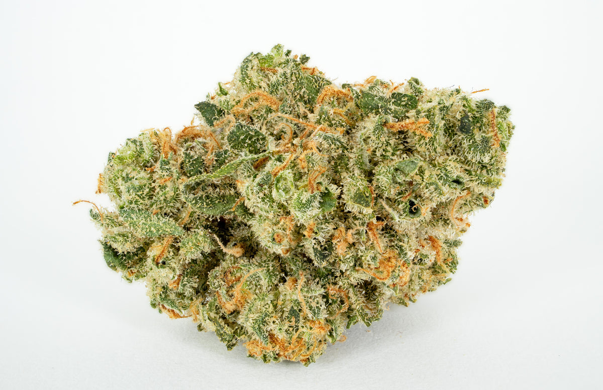 Orange Jack 1/2 Oz by MVP