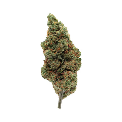 Point Break 1/2 Oz by MVP