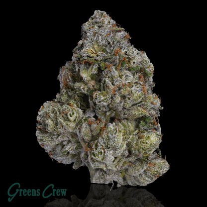 The Green Jacket by Greens Crew