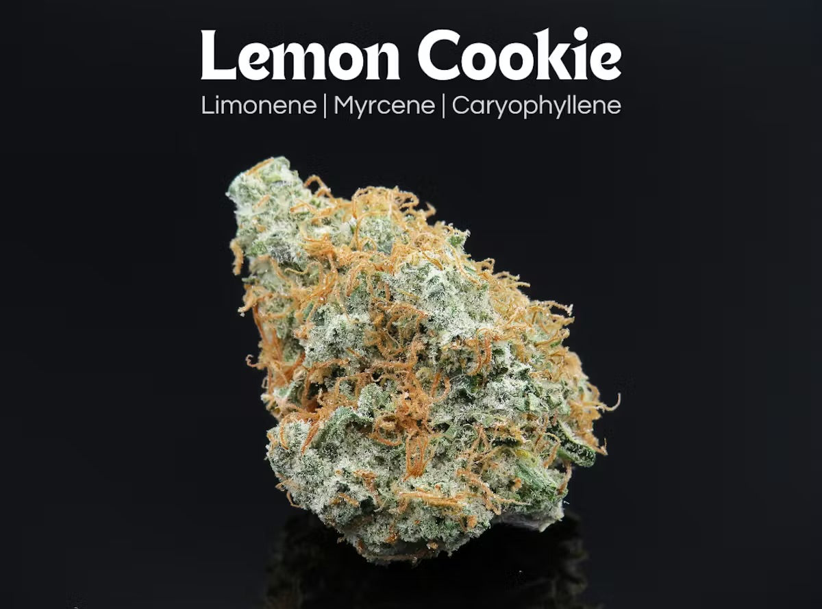 Lemon Waffer  (H)