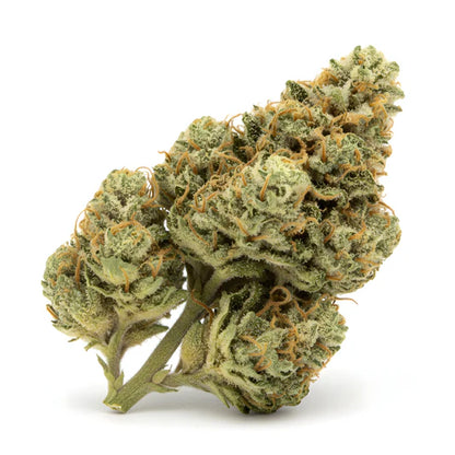 Guava Tartz 1/2 Oz by MVP