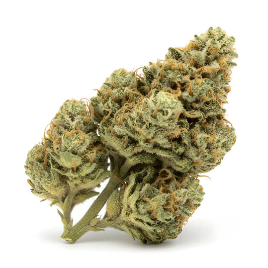 Guava Tartz 1/2 Oz by MVP