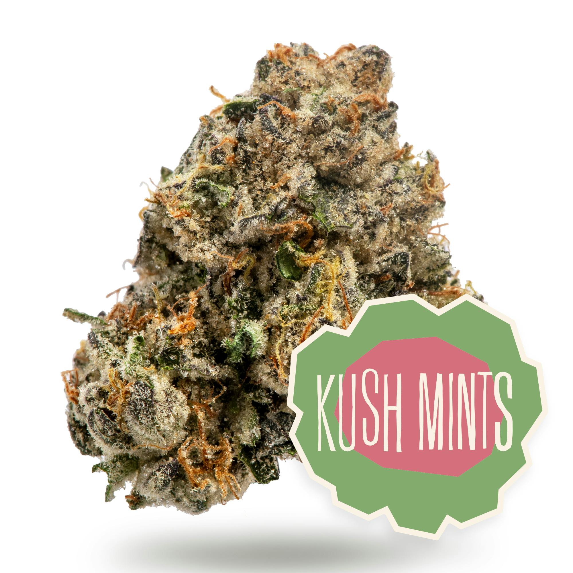 Kushmints (I/H)