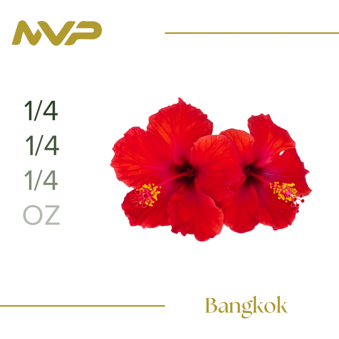 Bangkok (S/H)