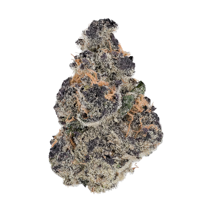 Purple Thai (H) 1/2 oz