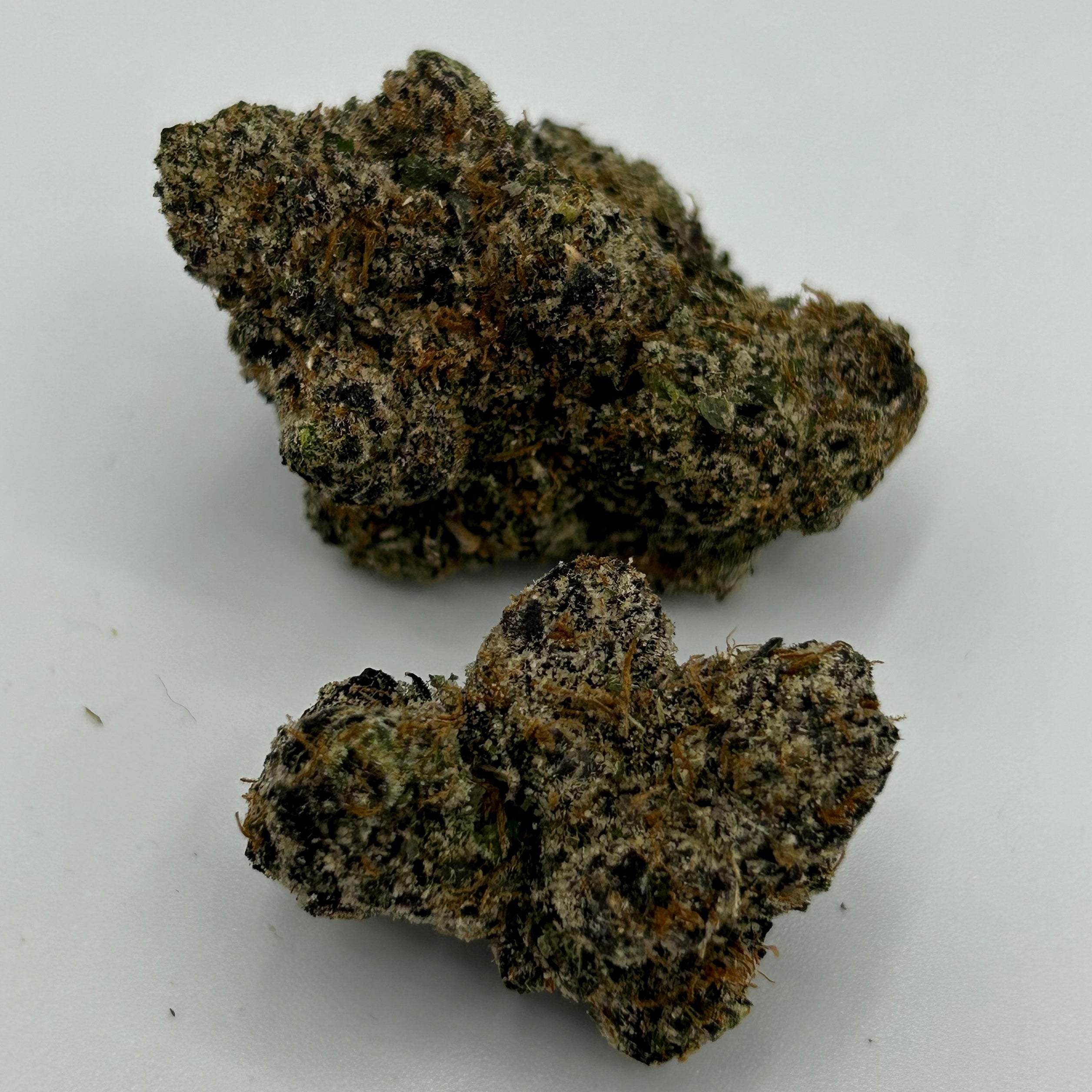 Cherry Gushers by SF Canna (I/H)