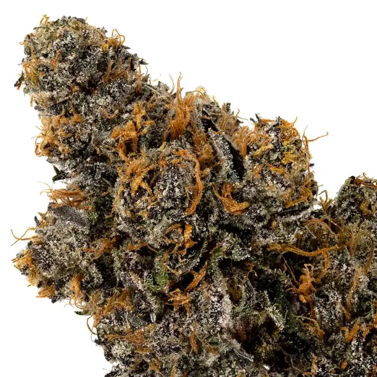 Pombi by Kato Cannabis 7g Jar (I/H)